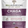 Buy Chaga Mushroom Extract antioxidant used for immunity, digestion