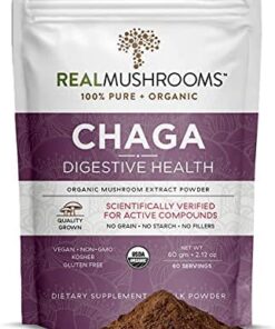 Chaga Mushroom Extract antioxidant used for immunity, digestion