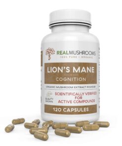 lion's mane capsules that help improve mental clarity