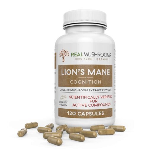 buy lion's mane capsules that help improve mental clarity