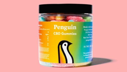Buy Penguin CBD Full Spectrum Gummies