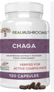 chaga capsules for immunity, digestion, skin health