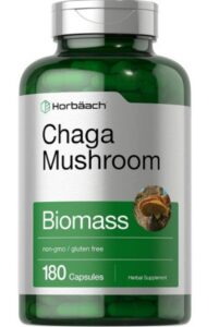 Chaga Capsules provides antioxidant and DNA support