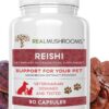 Reishi Capsules promote cardiovascular health