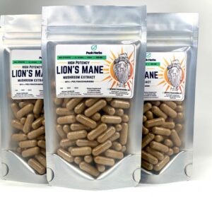buy lion's mane capsule that help with a variety of health problems