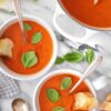 Buy Tomato Basil Soup compare prices, see product info