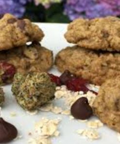 Buy Cranberry cannabis and chocolate chip cookies Online