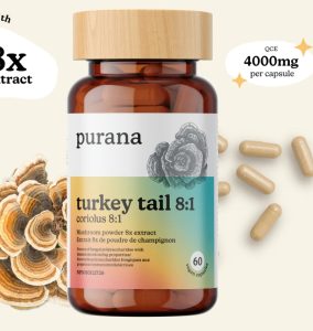 Turkey Tail Capsules For Sale Online 